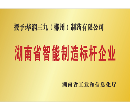 湖南省智能制造標(biāo)桿企業(yè)