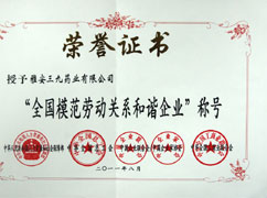 全國模范勞動(dòng)關(guān)系和諧企業(yè)(證書)